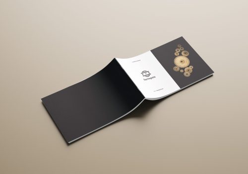 Factopsis - cahier de marque