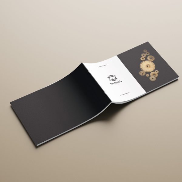 Factopsis - cahier de marque