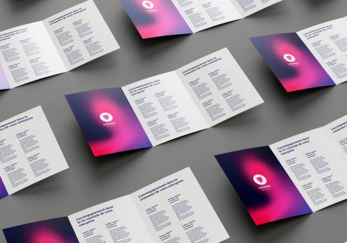 Leonem - brochure