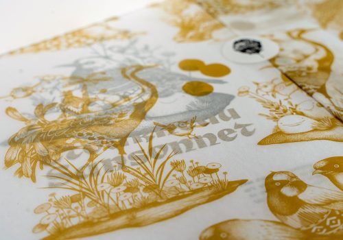 Missy - Les migrateurs