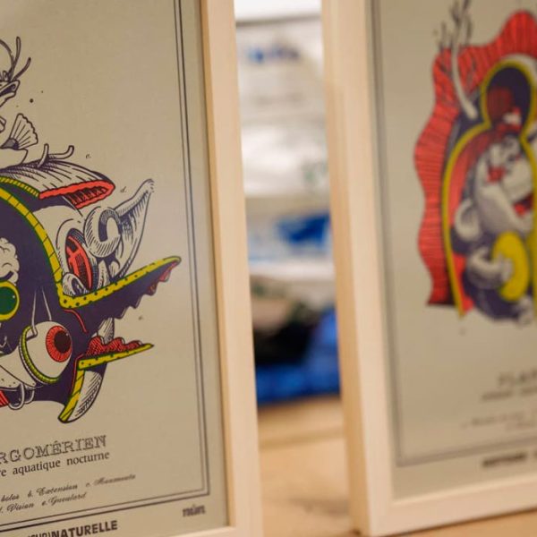 NBF & STOM500 - Créatures