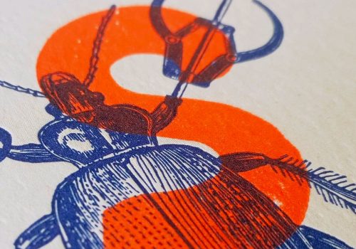 Buckwild - Insectes mécaniques